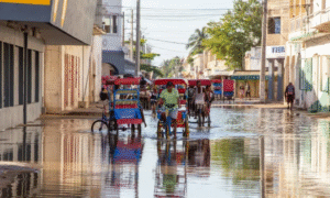 One of the ways to earn money. Everyday life on the cities street of Madagascar.
