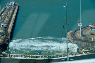 The water being released form the lock has to go somewhere. Another “free fish buffet.png